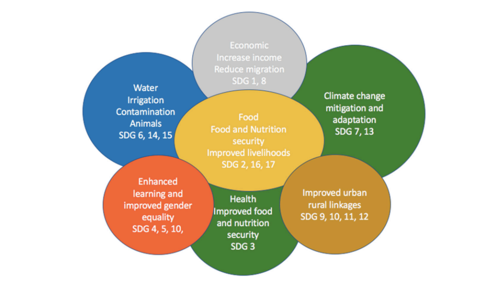 Validating the City Region Food System Approach