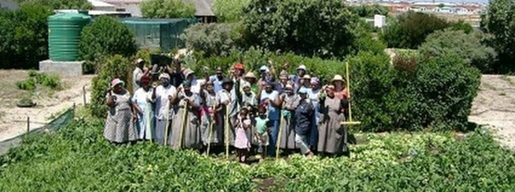 Women Feeding Cities – Mainstreaming gender in urban agriculture and food security