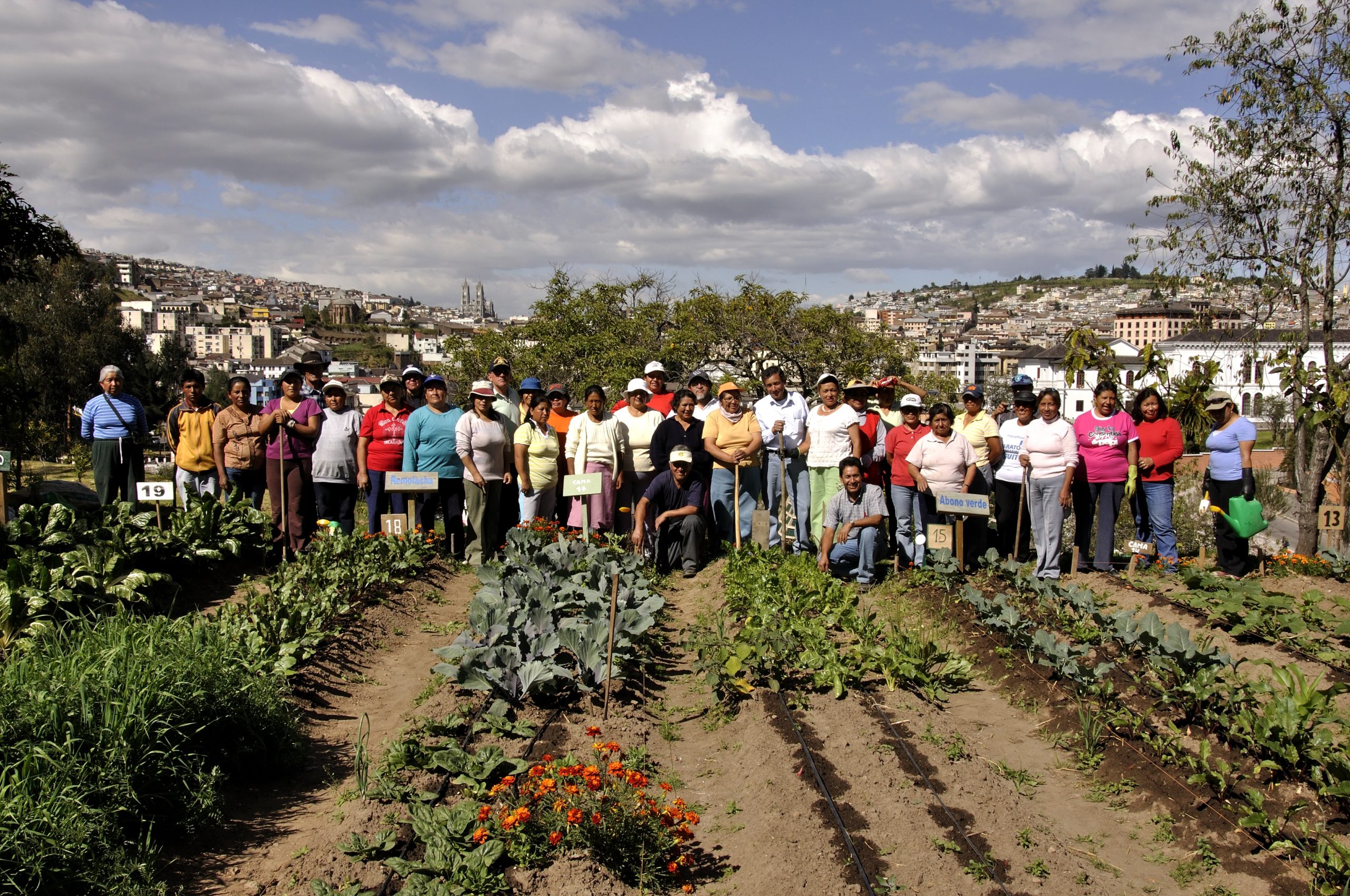 Quito’s journey to better food security