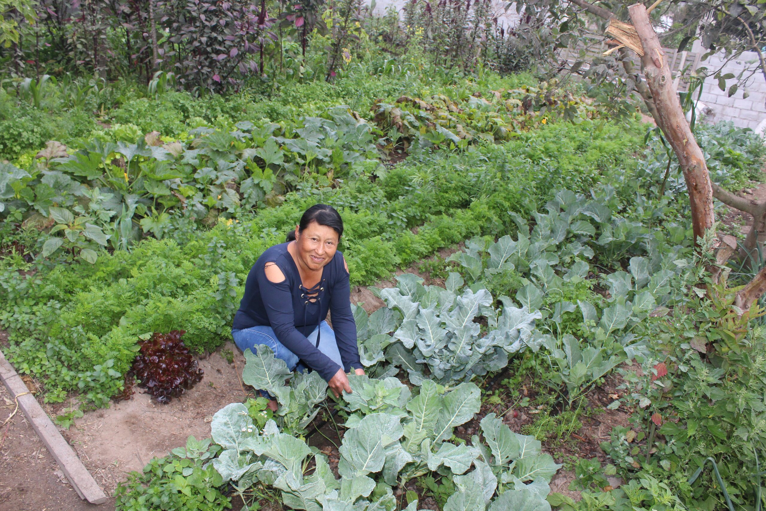 Addressing Gender Inequalities in Quito’s Food System