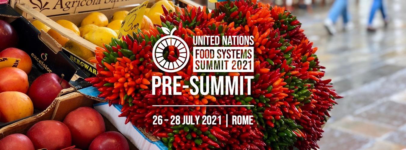 Empowering cities and citizens for food systems transformation