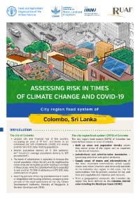 Assessing risk in times of climate change and COVID-19: Colombo, Sri Lanka