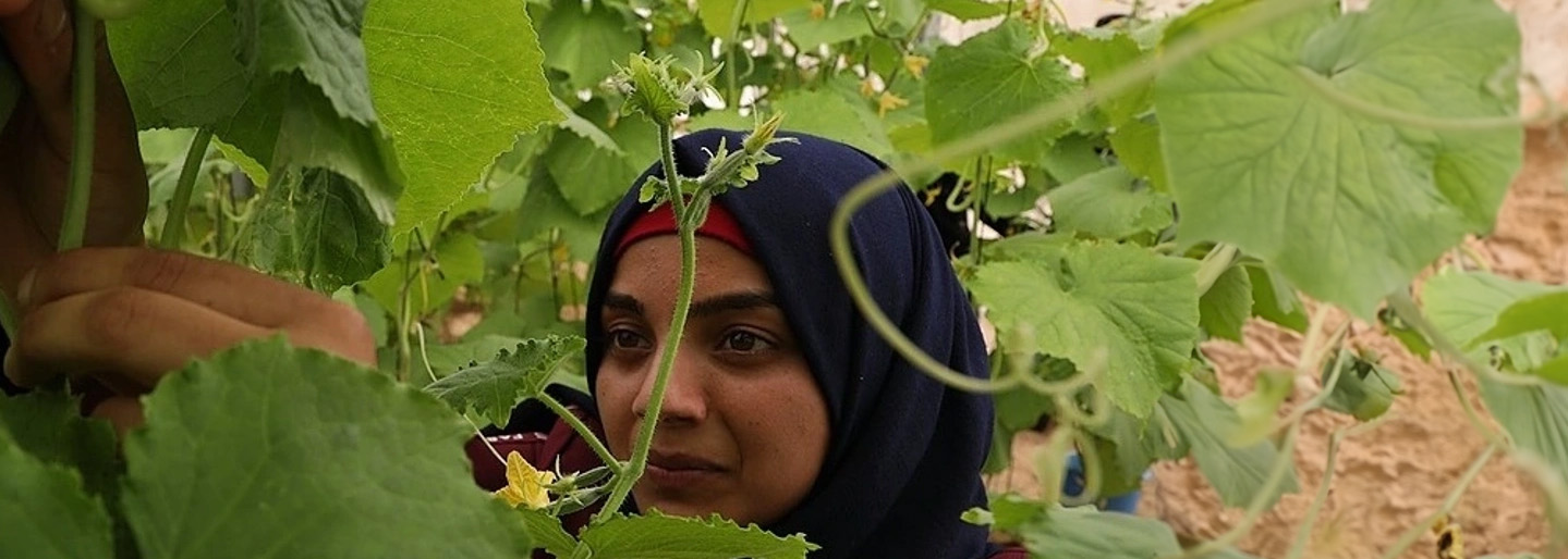 World Food Day 2024: Gaza’s women-led agribusinesses are a cornerstone of community food resilience