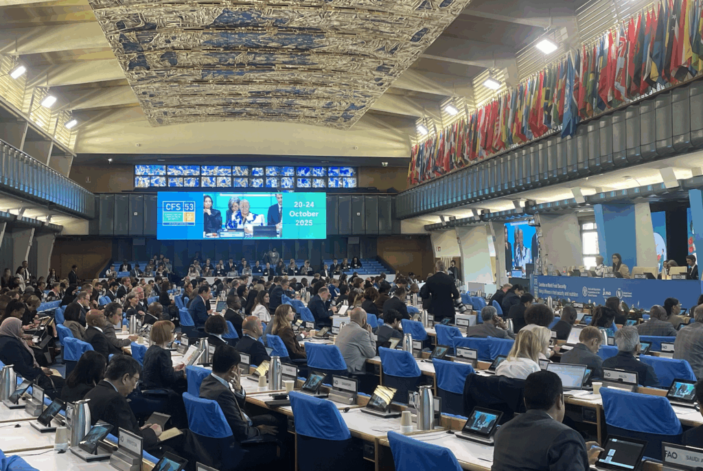 Cities, youth and climate: CFS & CSIPM reflections for Urban Futures