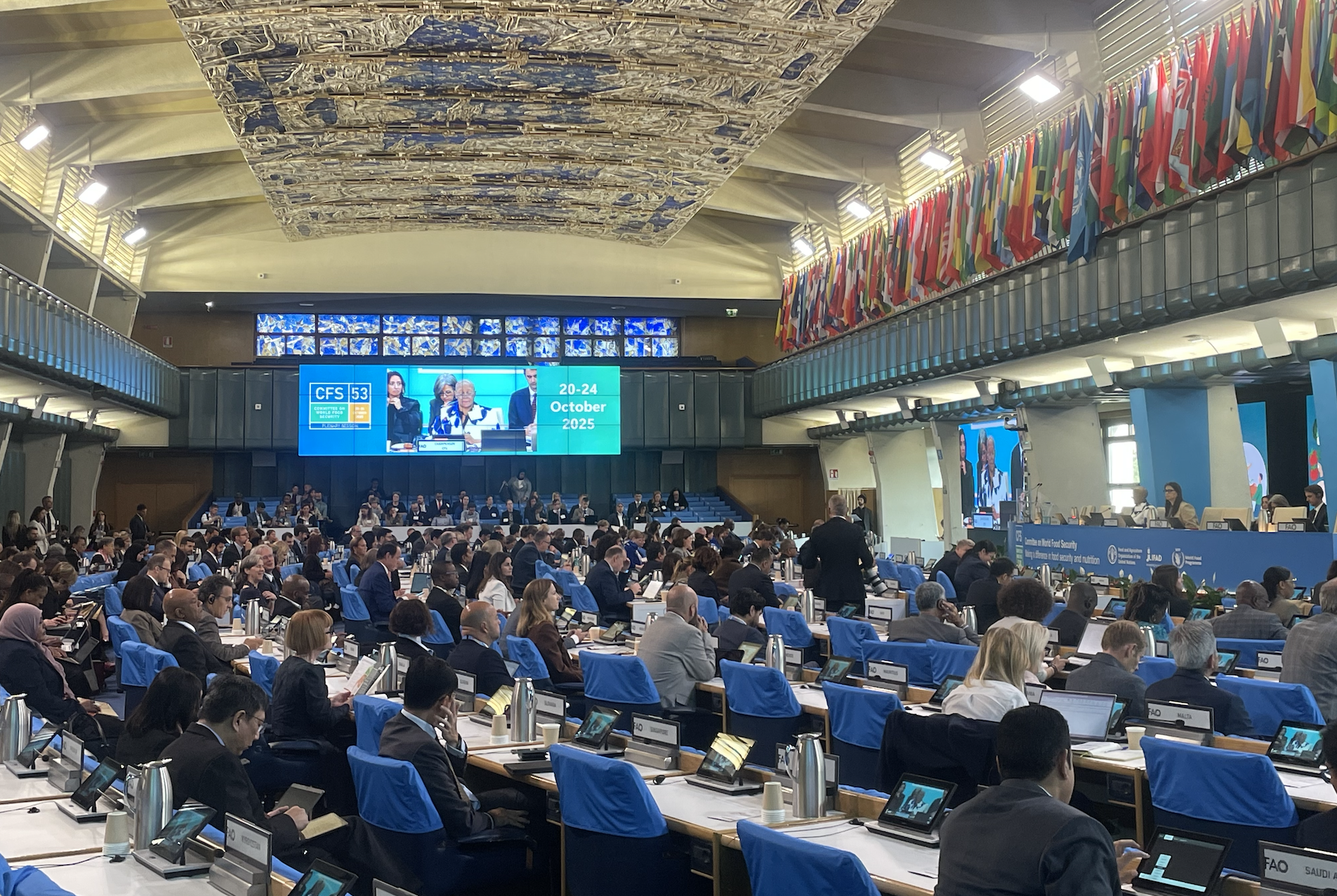 Cities, youth and climate: CFS & CSIPM reflections for Urban Futures