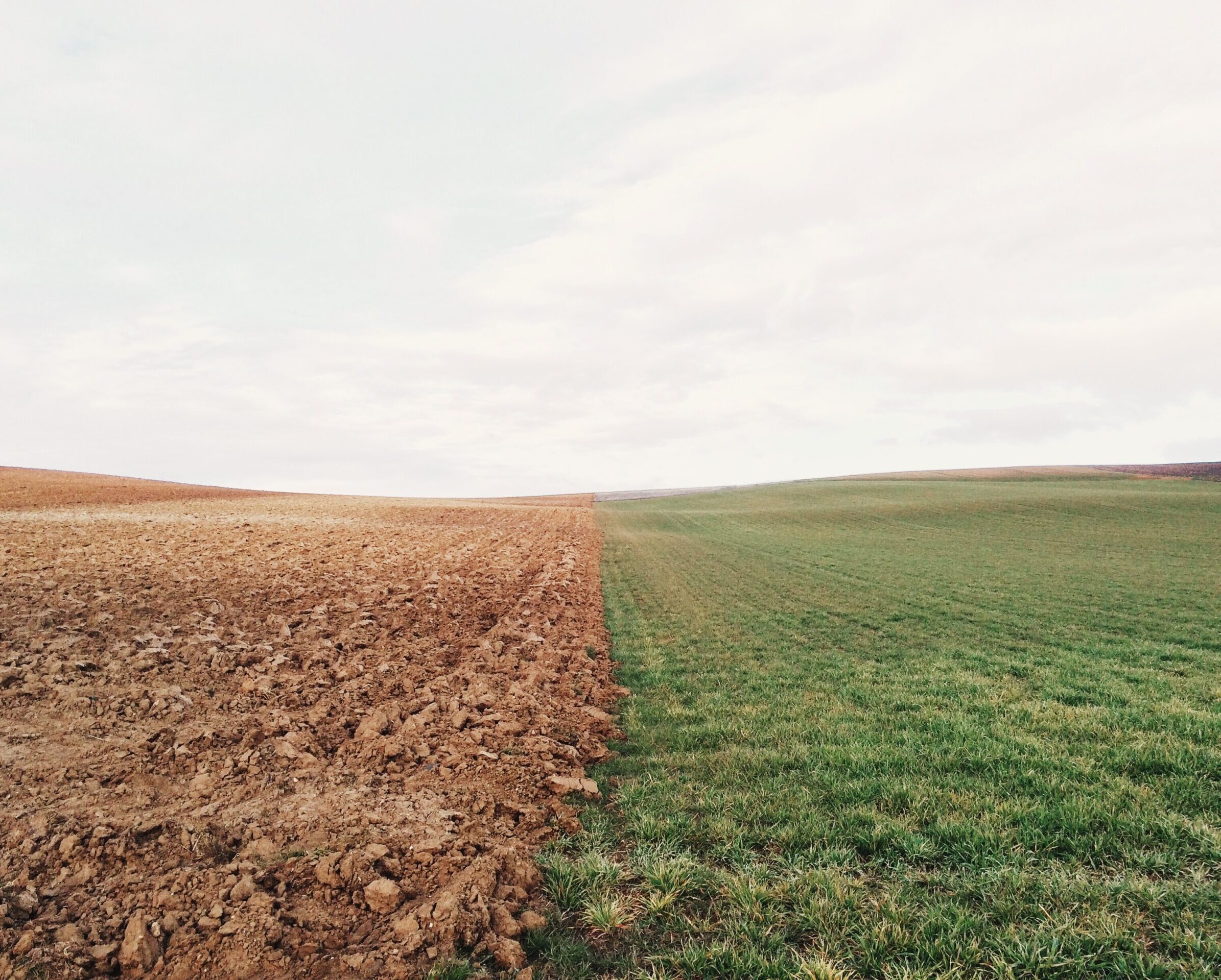 Op-ed: Why everyone needs to be able to spot a food security narrative at 100 paces