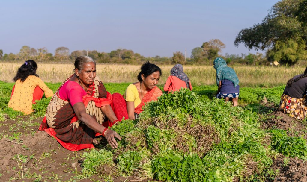 RUAF launches new report on food security narratives for climate action